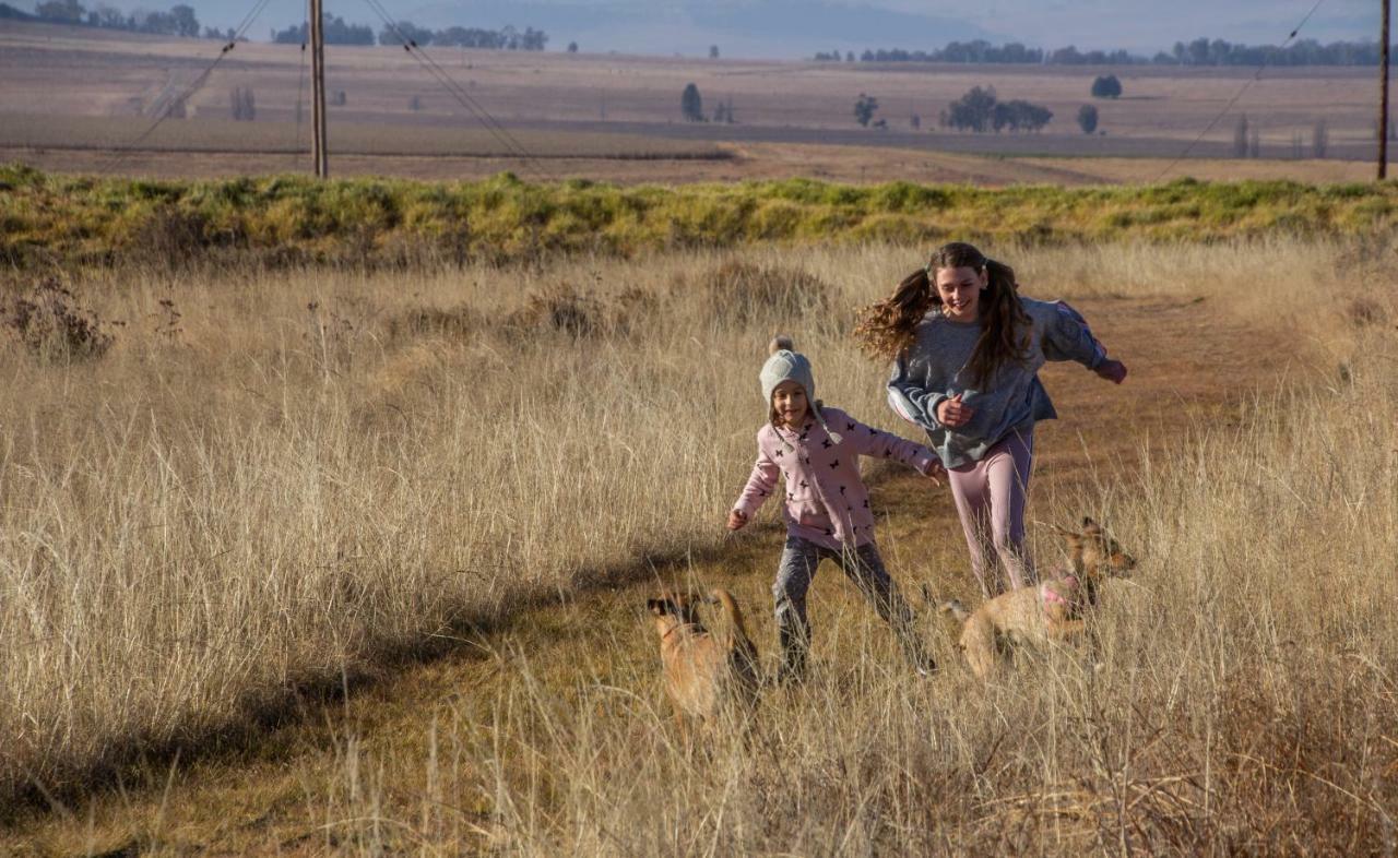 Amohela Ho Spitskop Country Retreat & Conservancy Ficksburg Dış mekan fotoğraf